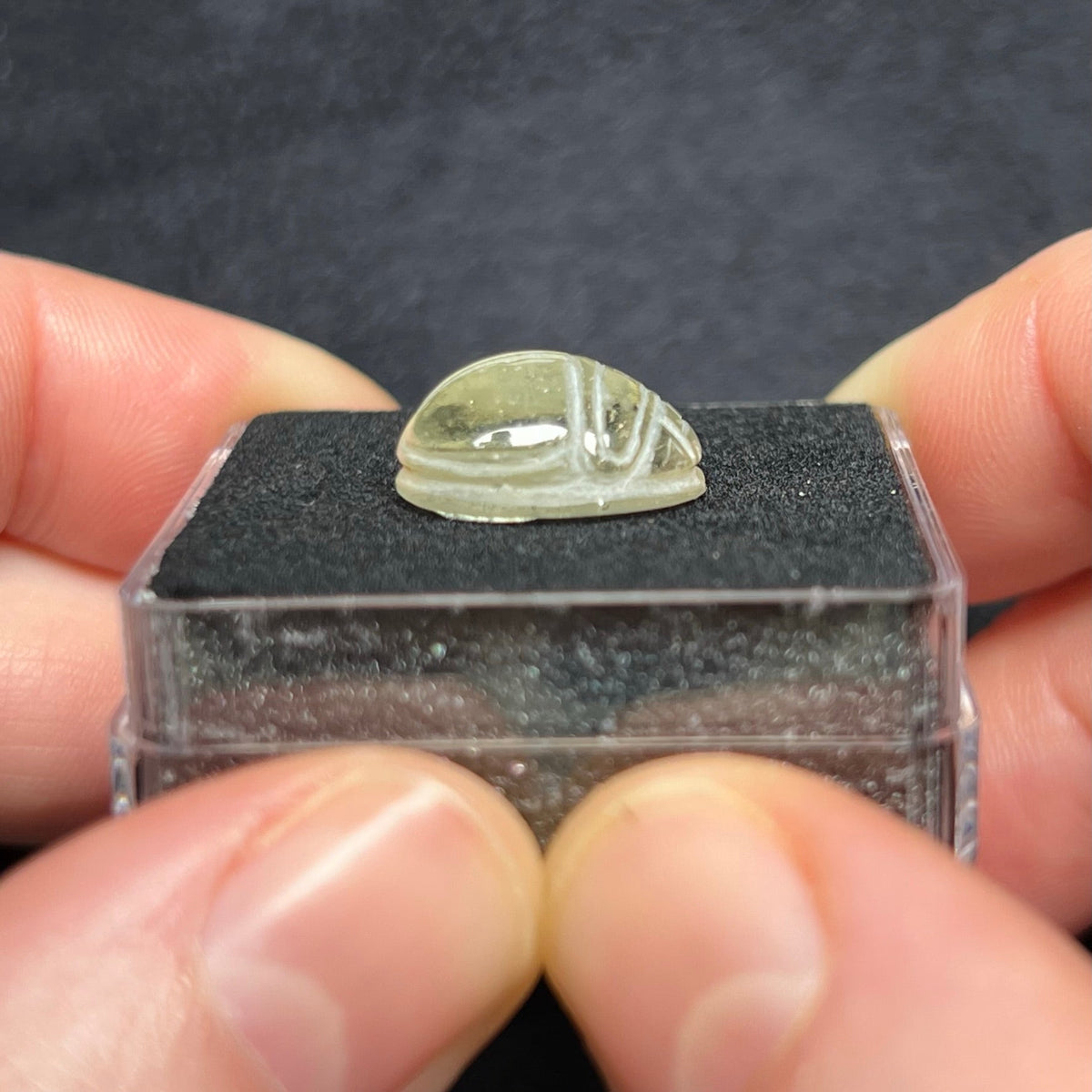 Libyan Desert Glass Scarab