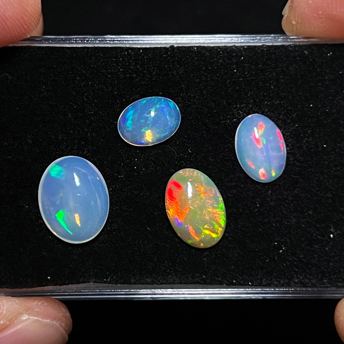 Welo Opal Cabochons