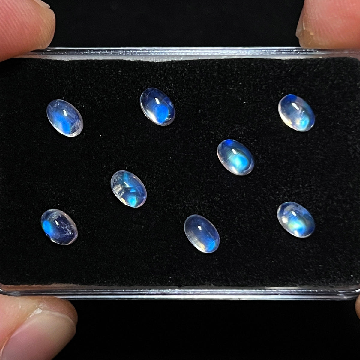 Blue / Rainbow Moonstone Cabochons