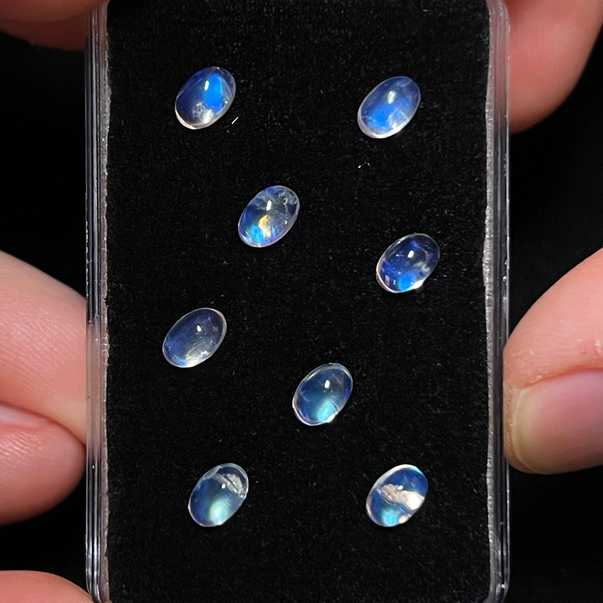 Blue / Rainbow Moonstone Cabochons