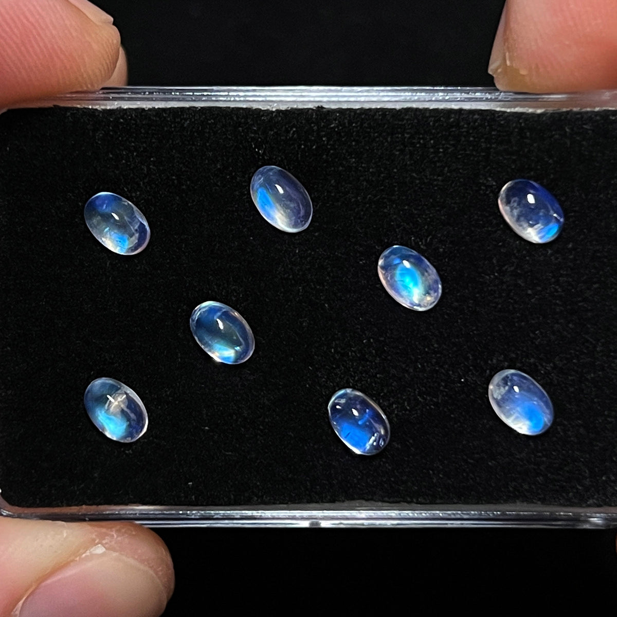 Blue / Rainbow Moonstone Cabochons