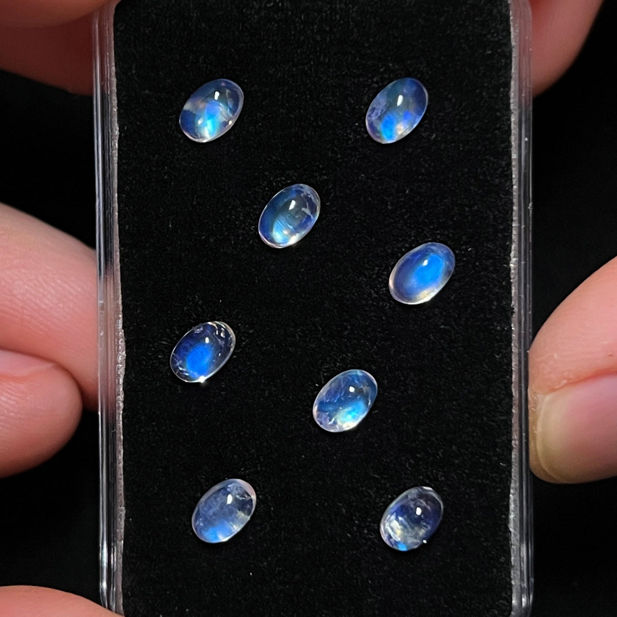 Blue / Rainbow Moonstone Cabochons