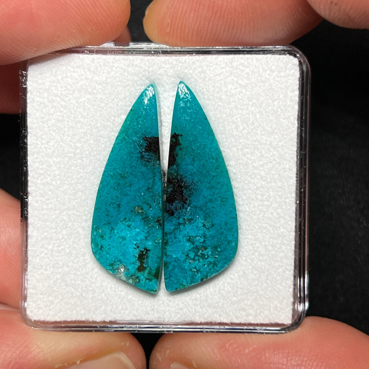 Blue Petrified Wood Cabochons