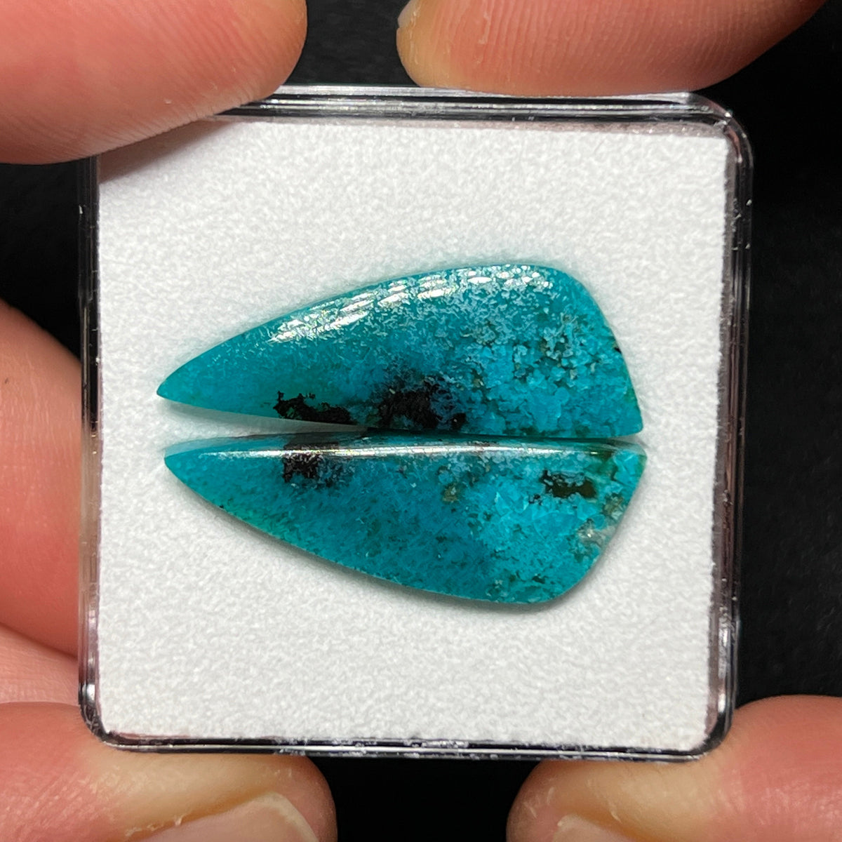 Blue Petrified Wood Cabochons