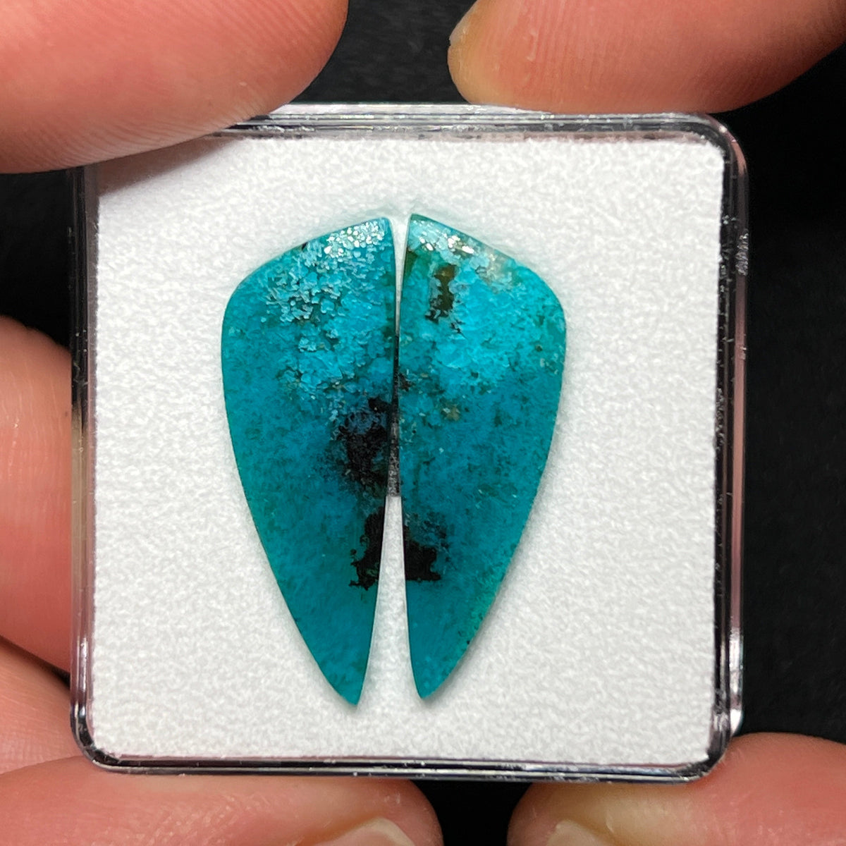 Blue Petrified Wood Cabochons