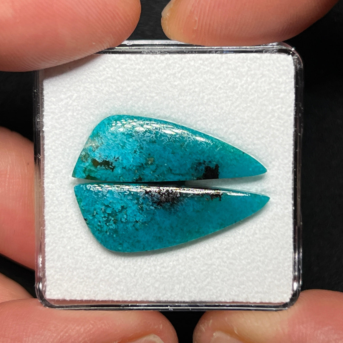 Blue Petrified Wood Cabochons
