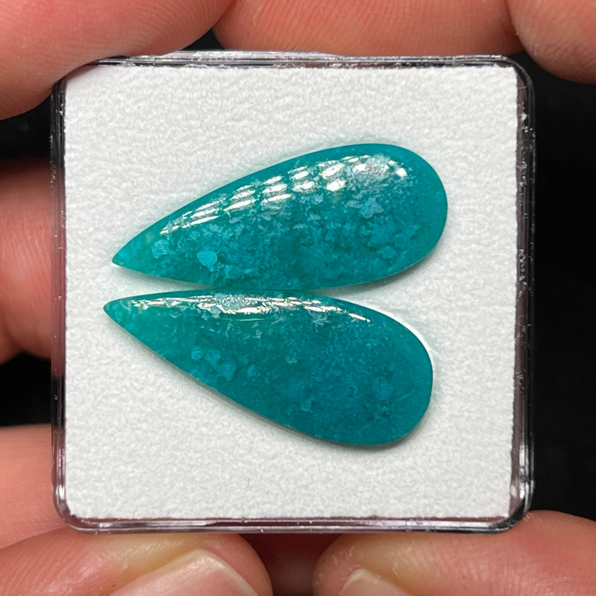Blue Petrified Wood Cabochons
