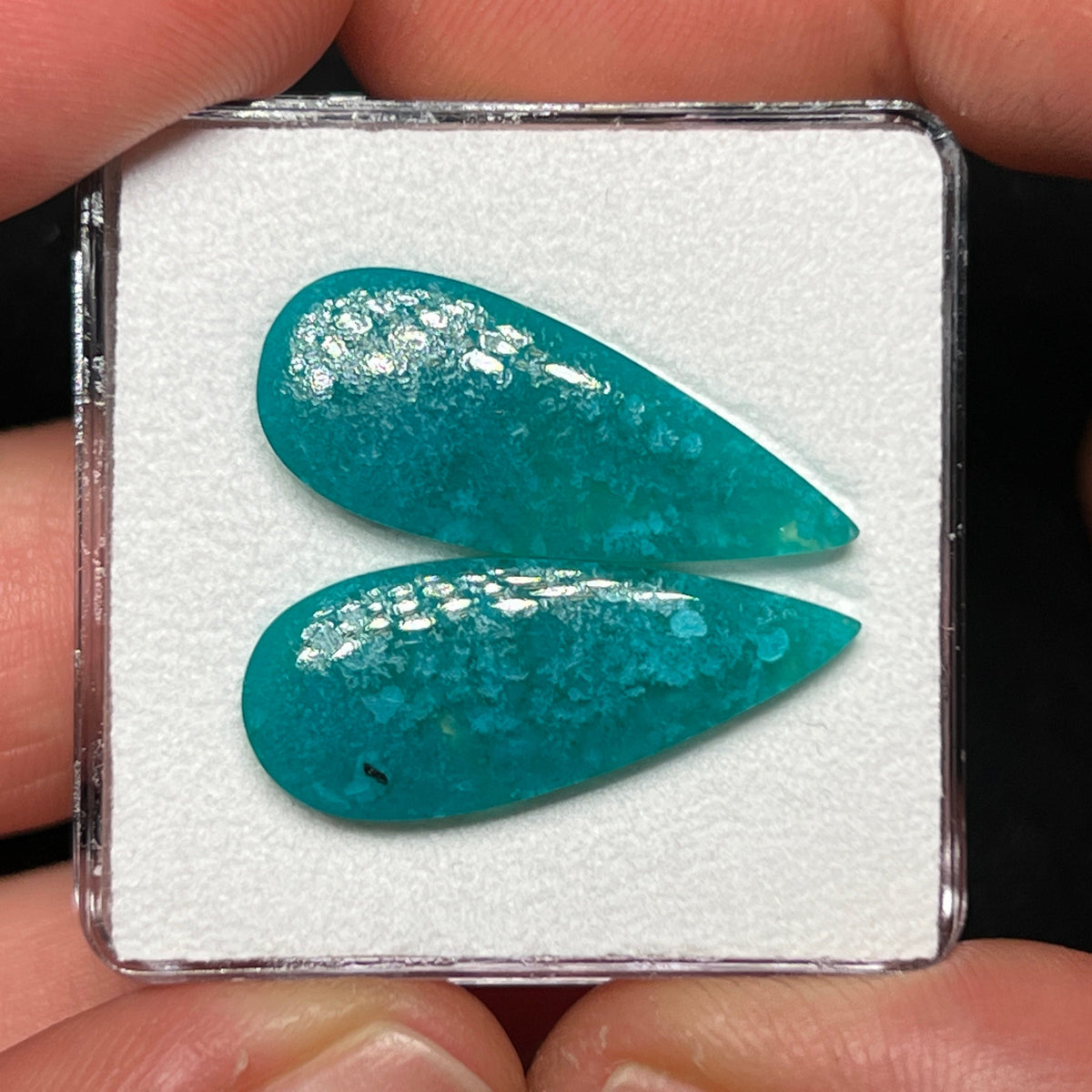 Blue Petrified Wood Cabochons