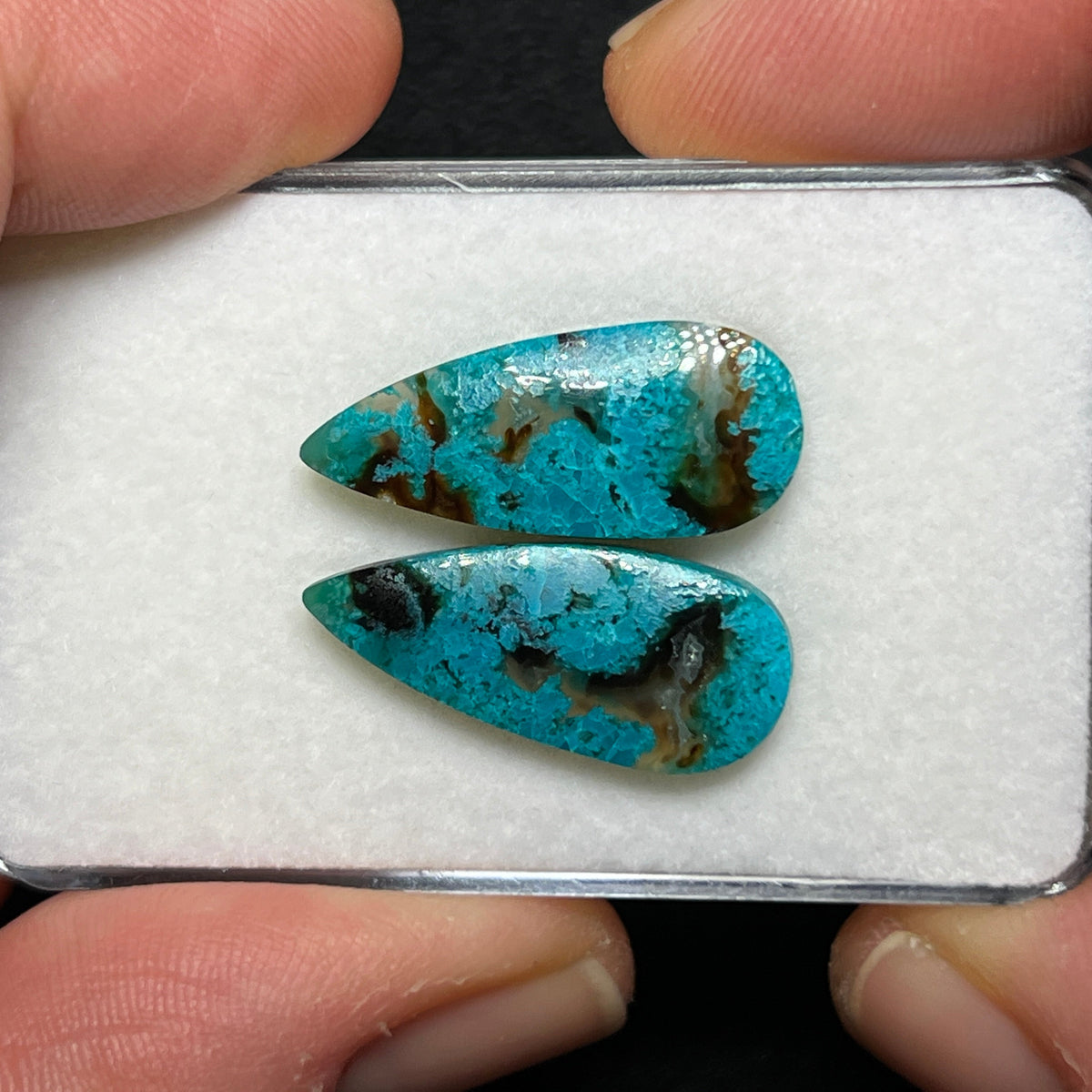 Blue Petrified Wood Cabochons