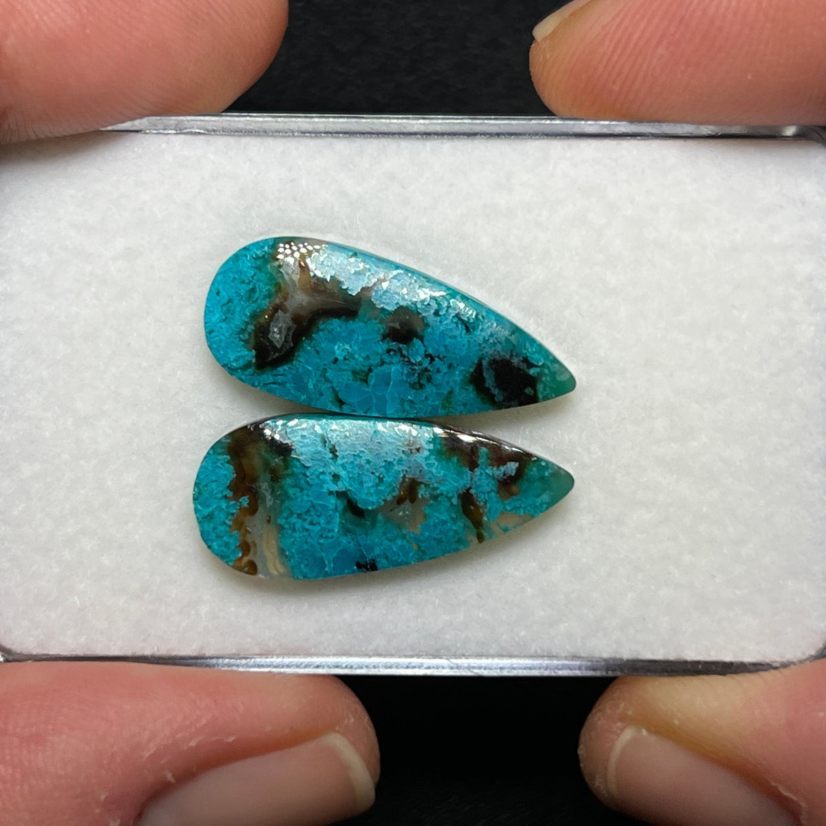 Blue Petrified Wood Cabochons