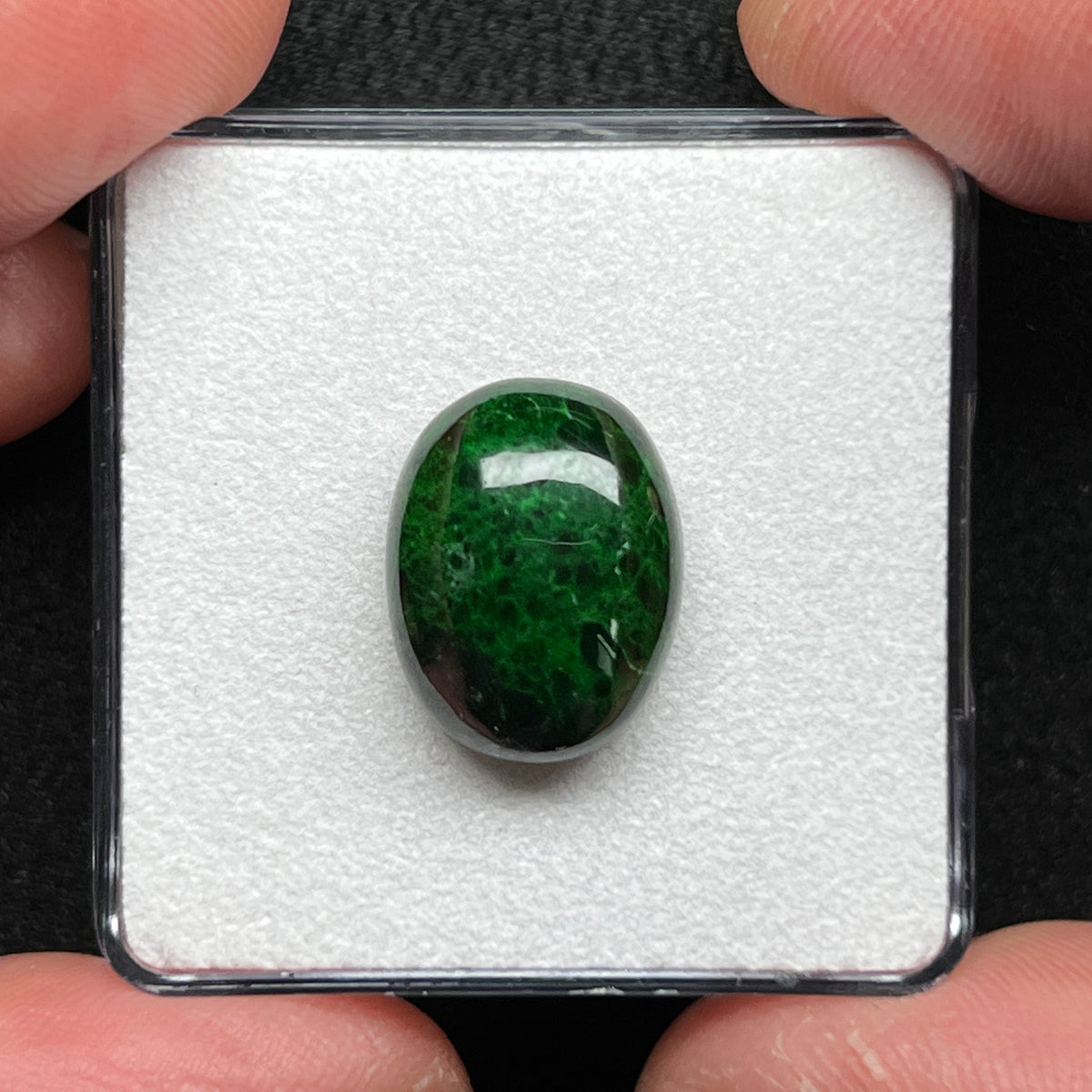 Maw Sit-Sit Jade Cabochon