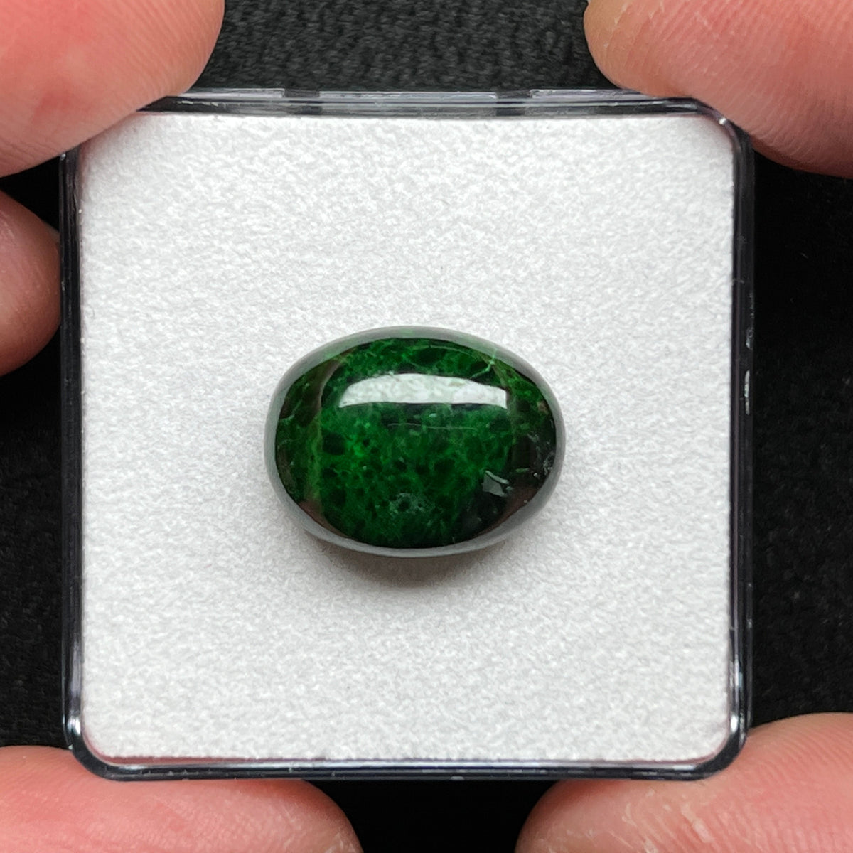 Maw Sit-Sit Jade Cabochon