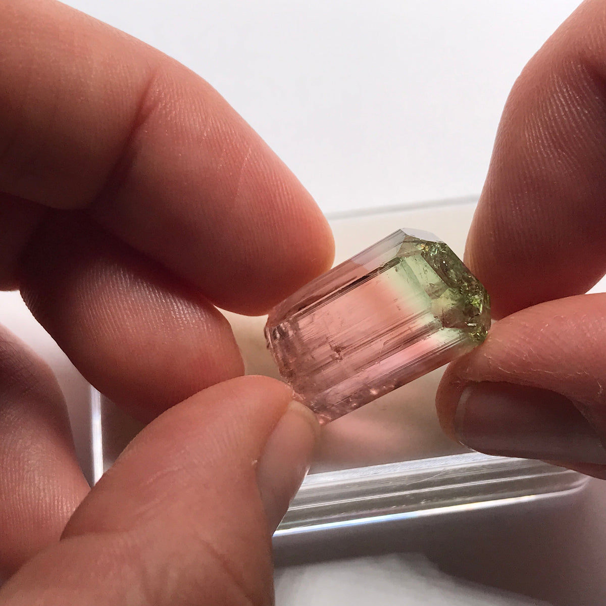 Congo Tourmaline Crystal