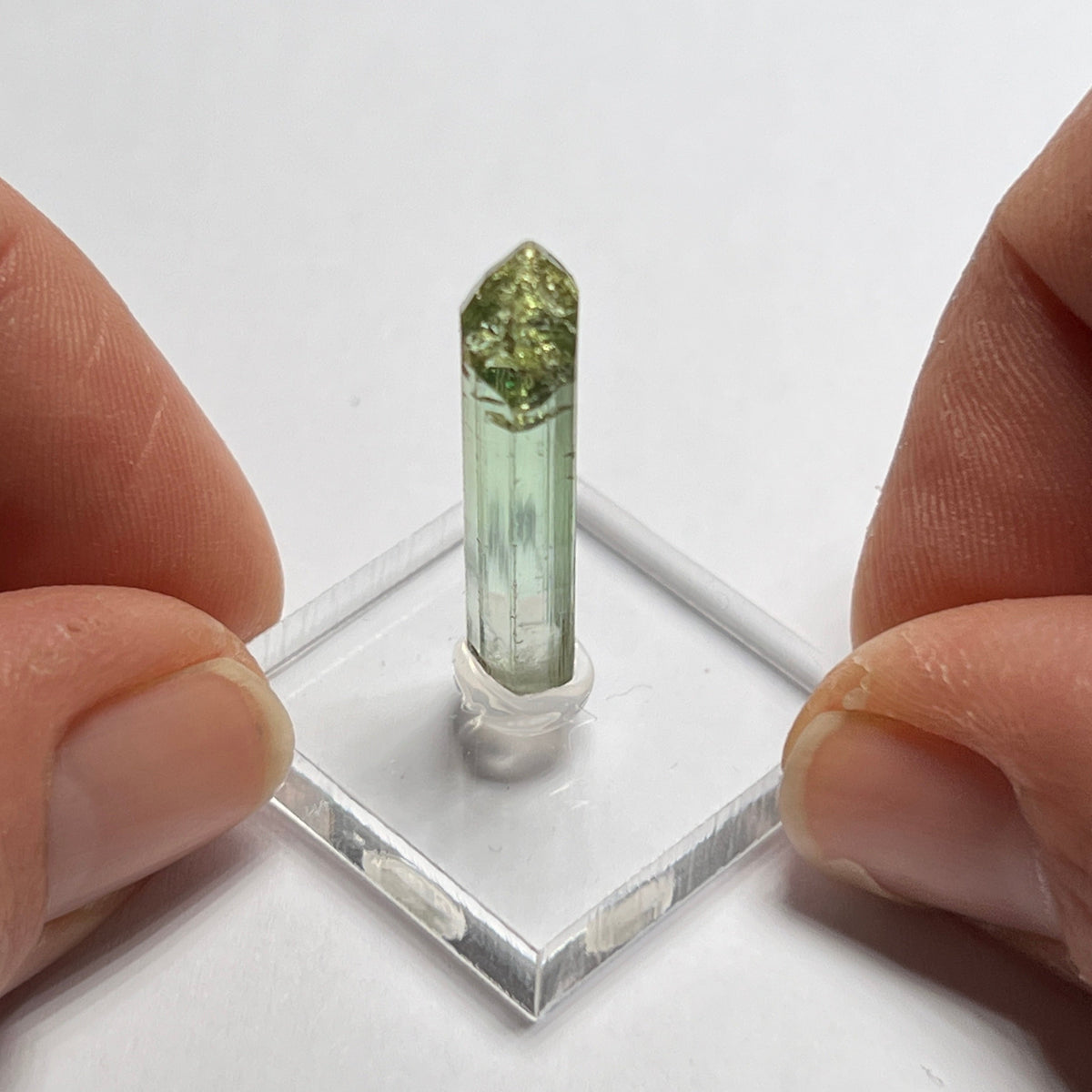 Congo Tourmaline Crystal