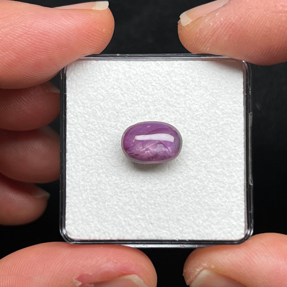 Burmese Double Star Sapphire Cabochon