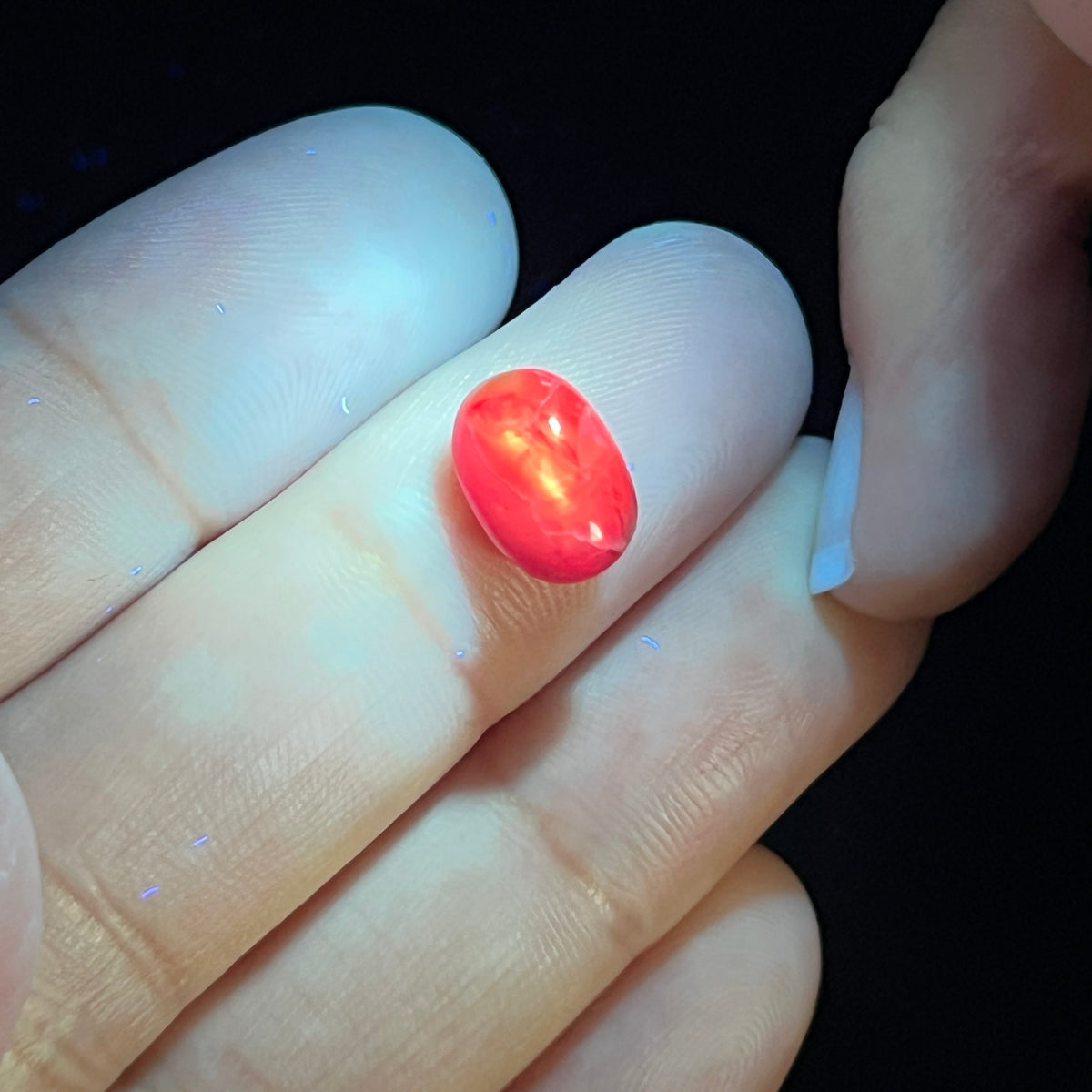 Burmese Double Star Sapphire Cabochon